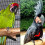 2x Pet Bird Harness and Leash,Adjustable  Bird Harness Leash (XS&S) 10