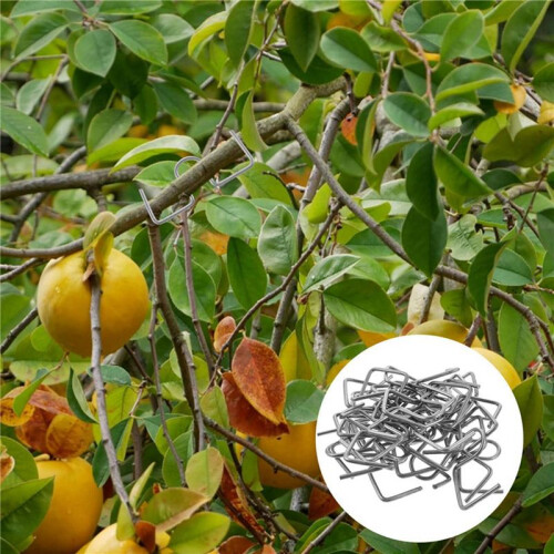 Fruit Tree Branch Puller Tying Machine Farm Tools New Plum Tree Open Angle Pull Branch Bending Tool Fruit Branch 50PCS 1