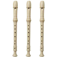 DHS 8-Gats Sopraanblokfluit Muziekinstrumenten voor Kinderen Beginners Gratis Vingerzettingstabel Reinigingsstok Verpakkingstas
