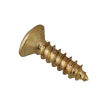200X Pièces de Vis de Basse de Guitare pour Pickguards Scratchplates, Or