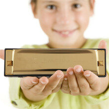 Swan Mondharmonica 10 Gaten Sleutel van C GOUDEN met Kast Blues Harp Metaal Staal NIEUW