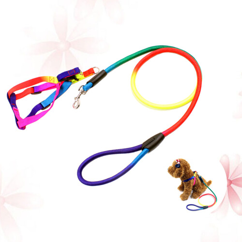 Laisse Traction Réglable Nylon Accessoires Colorés