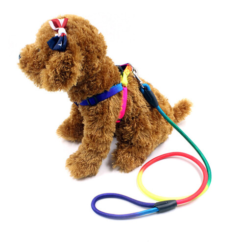 Laisse Traction Réglable Nylon Accessoires Colorés 1