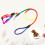 Laisse Traction Réglable Nylon Accessoires Colorés 8