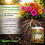 MULTI MITE Liquid Seaweed Organic Fertiliser - 2.5L 2