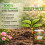 MULTI MITE Liquid Seaweed Organic Fertiliser - 2.5L 3