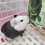 (S) Rabbit Hay Feeder Hanging Bag for Pets 7