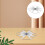 Découpe-Gâteaux Acier Découpage Précis Pizza Fine Argent 11
