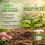 MULTI MITE Liquid Seaweed Concentrate - 10 Litre | Garden Fertiliser 3