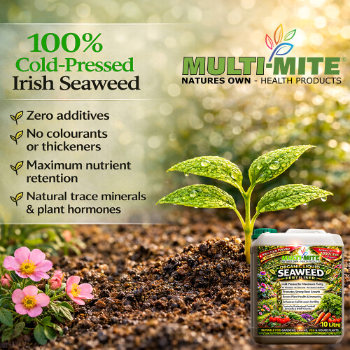 MULTI MITE Liquid Seaweed Concentrate - 10 Litre | Garden Fertiliser 2