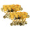 1Pair Dance Anklet Lightweight Wrist Bands with Coins 10