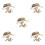 5Pcs Light Brown Bug Viewing Container Kit Kids Outdoor Science Tools 6