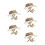 5Pcs Light Brown Bug Viewing Container Kit Kids Outdoor Science Tools 8