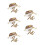 5Pcs Light Brown Bug Viewing Container Kit Kids Outdoor Science Tools 10