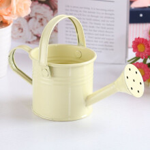 (Beige)Mini Flower Kettle Water Spraying Metal Pot Watering Bottle Home Decor Garden
