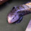 Anti-Humidité Pour Lit De Reptiles Facile À Couper 4