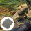 Anti-Humidité Pour Lit De Reptiles Facile À Couper 11