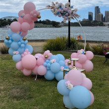 Roze en Blauwe Latex Ballonnen, 67 Stuks 12 Inch Roze Blauwe Geslachtsonthullingsballonnen voor Verjaardagsbijeenkomst Babyshower