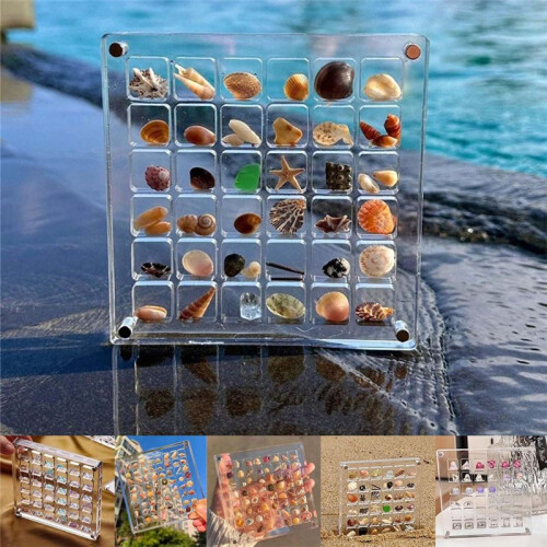 2PCS Acrylic Magnetics Seashell Display Box Diamond Gemstone Beads Storage Display Organizer Box Grids Clear Acrylic,E 2