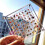 2PCS Acrylic Magnetics Seashell Display Box Diamond Gemstone Beads Storage Display Organizer Box Grids Clear Acrylic,E 7