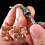 Titaniumlegering Sleutelhanger High-End Spring Lock Auto  Universele Roterende Ring Gesp-Verticale Grain [Stone Wash] 9