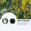 Para  3 Pro Gimbal Camera Frame Cover para   3 Pro Parts 5