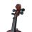 10X Gifts Violin Music Instrument Miniature Replica with Case, 8X3cm 5