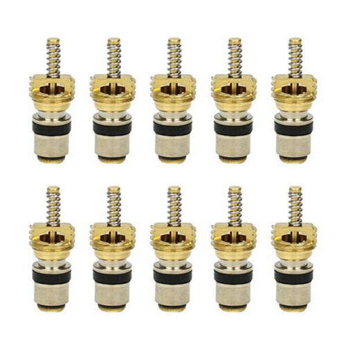 10pc Air Conditioning Charge Cold Medium Interface Valve Core for  Elysee  Beverly