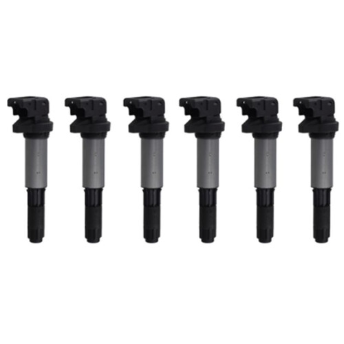 6X Ignition Coil for  E46 E53 E60 E70 E71 E90 323I 325I 535I X3 12131712219 12137551260
