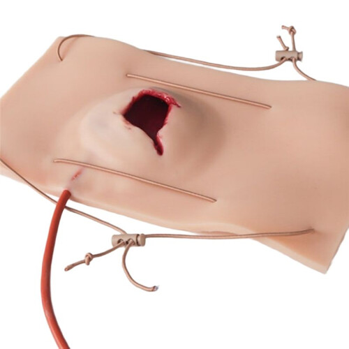 Large Gun Wound Model, Hemostasis Control Training Medical Teaching Model, Trauma Simulation Training