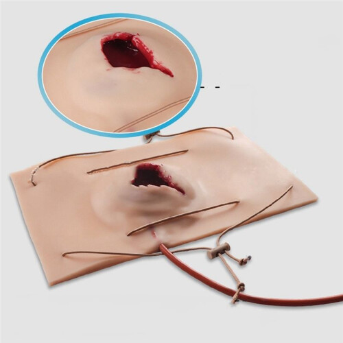 Large Gun Wound Model, Hemostasis Control Training Medical Teaching Model, Trauma Simulation Training 1