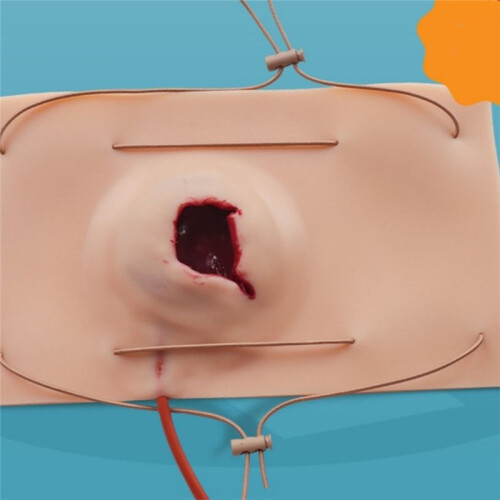 Large Gun Wound Model, Hemostasis Control Training Medical Teaching Model, Trauma Simulation Training 2