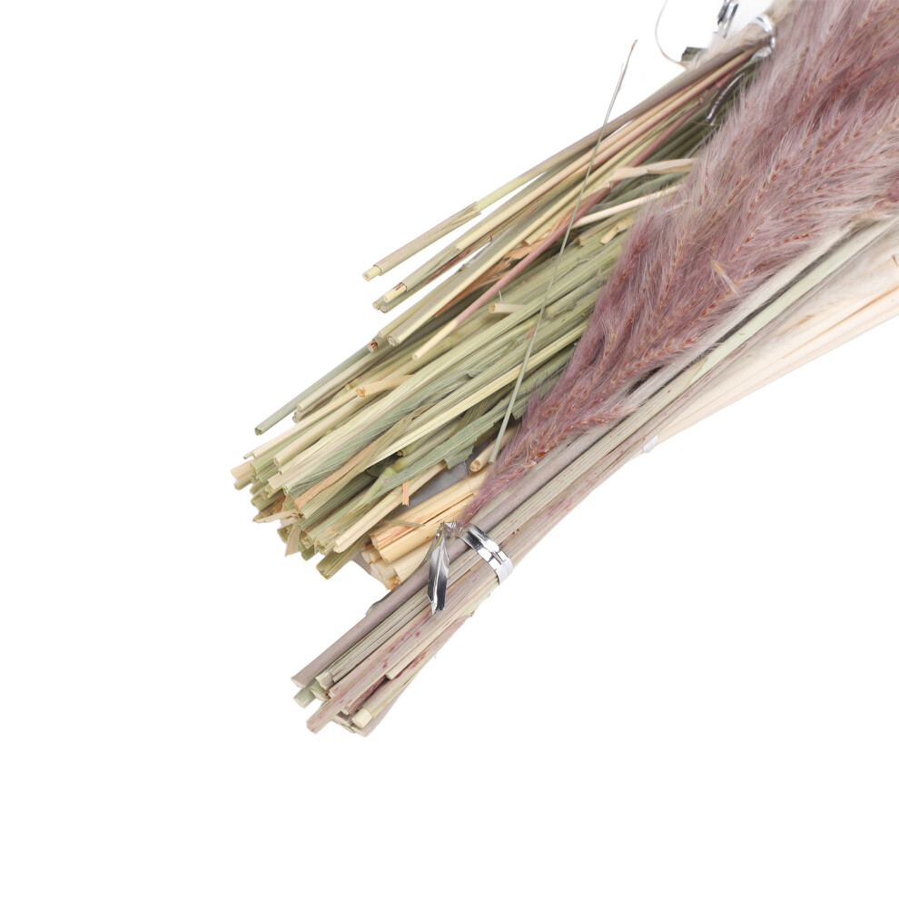 White Mixed Dried Pampas Grass 100 Stems Uk