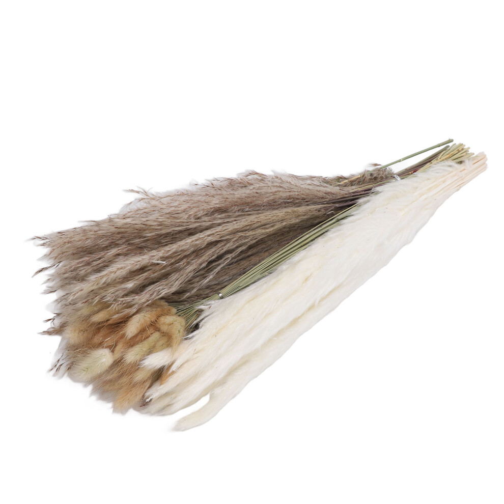 White/Brown 110 Dried Pampas Grass Stems