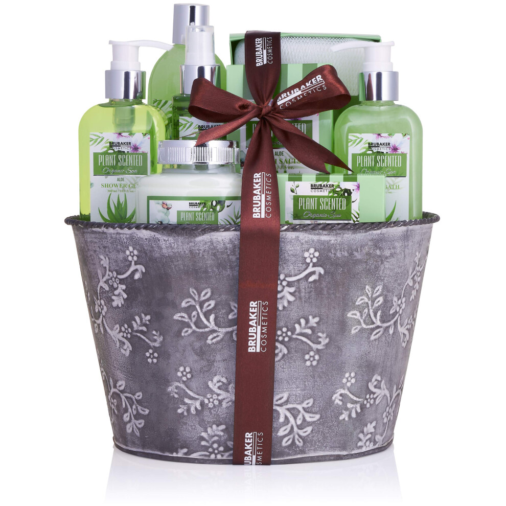 Brubaker Cosmetics Bath And Shower Set Aloe Vera - 9-Piece Gift Set In Vintage Plant Pot