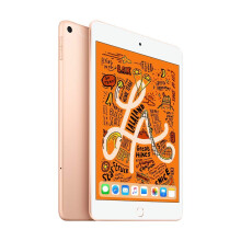 2019 Apple iPad Mini (7.9-inch, Wi-Fi + Cellular, 256GB) Gold (Renewed)