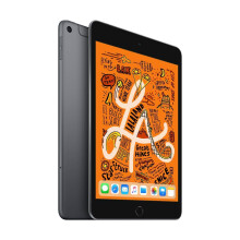 2019 Apple iPad Mini (7.9-inch, Wi-Fi + Cellular, 256GB) Space Gray (Renewed)