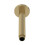 ARM815 Arvan | Modern Bathroom Round Ceiling Mounted Shower Arm, 150mm, Brushed Brass 1