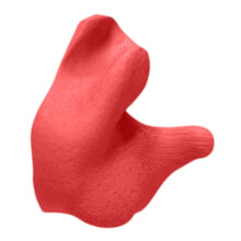 CEP001-R Custom Molded Earplugs (Red)
