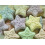 Pack of 3 Bimble Morning Glory Refreshing 'Depth Charge' Bath Bombs 3