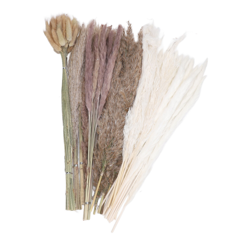110 PCS Dried Pampas Grass Decor Rustic Phragmites Flower Bouquet
