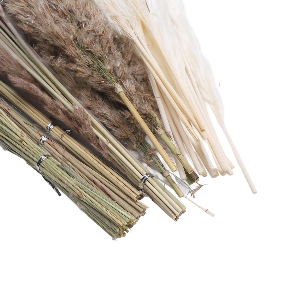110 Stem Dried Pampas Grass for Wedding