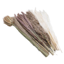 110 Stück getrocknte Pampasgras-Deko für Hochzeiten rustikale Phragmites-Blumen