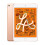 Apple iPad Mini 5 (2019) 64GB Wi-Fi - Gold (Renewed) 1
