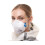 F31000 Segre, Folded FFP3 Mask, 3PK 2