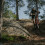 Suunto 9 Peak Pro Forest Green 8