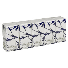 Pocket Tissues | Pack of 10 | 3 Ply | Travel Pack | Large Paper Hankies | Fragrance Free Packets, Multipack