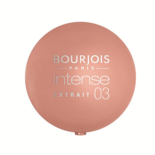 Bourjois Little Round Pot Intense Eyeshadow No.03
