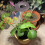 2PCS Full Spectrum LED Grow Light, Dimmable, Timer, 9cm 4