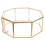 Clear Glass Geometric Terrarium Succulent Plants Container 15.5x15.5x7 2
